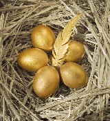 golden eggs